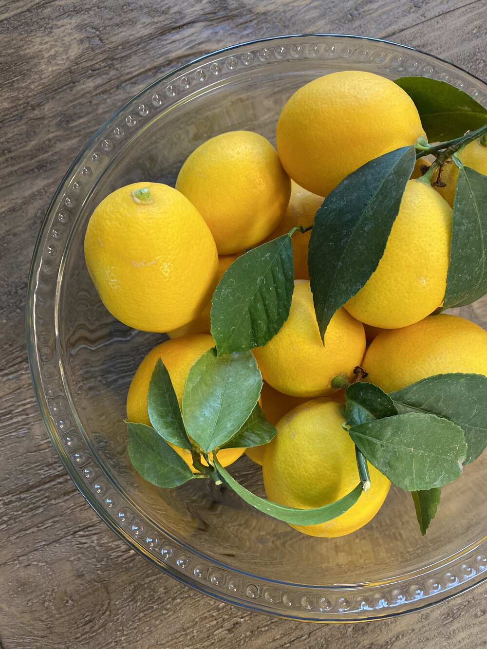 Katie’s Homegrown Lemons